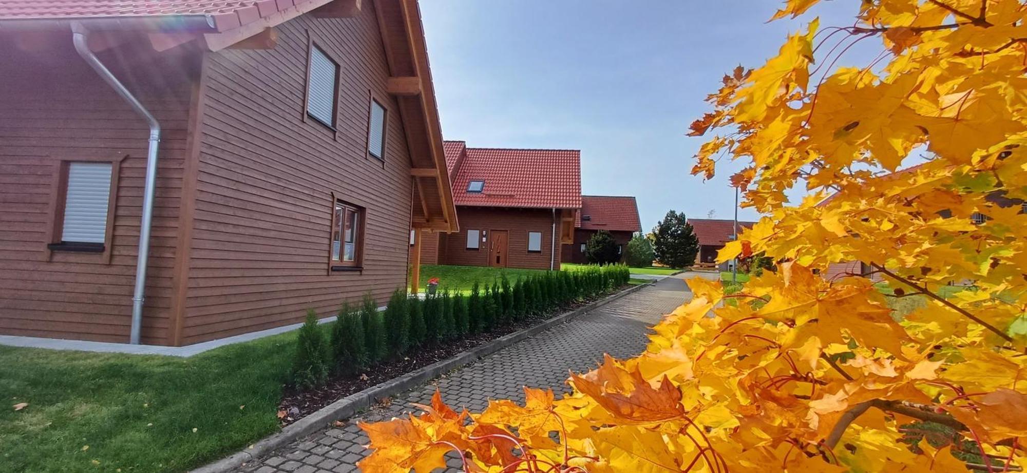 Premiumferienhaus Bhakti Hasselfelde Extérieur photo